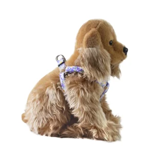 Bloomin' Purple Step-in Harness