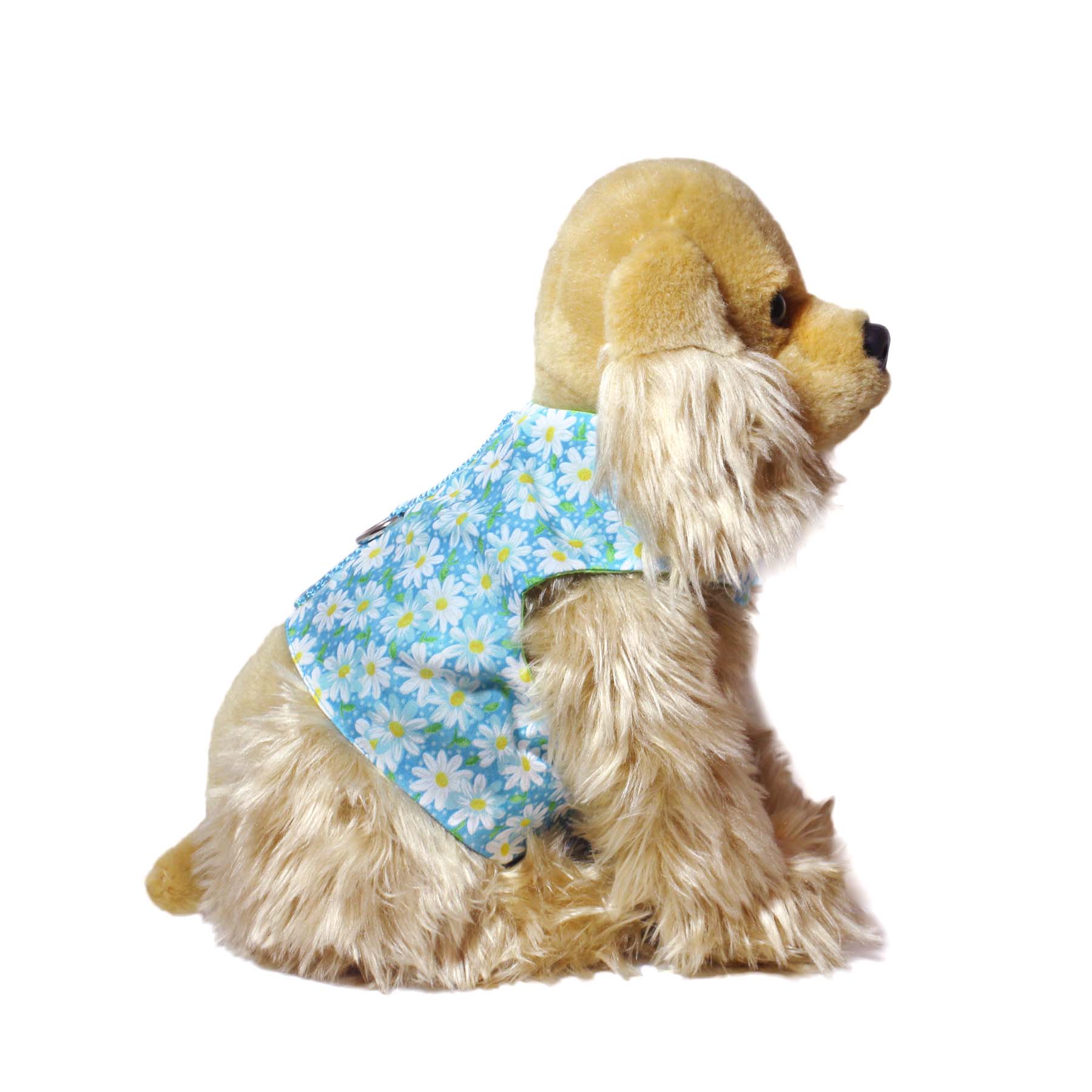 Donna Devlin with dog wearing walking vest