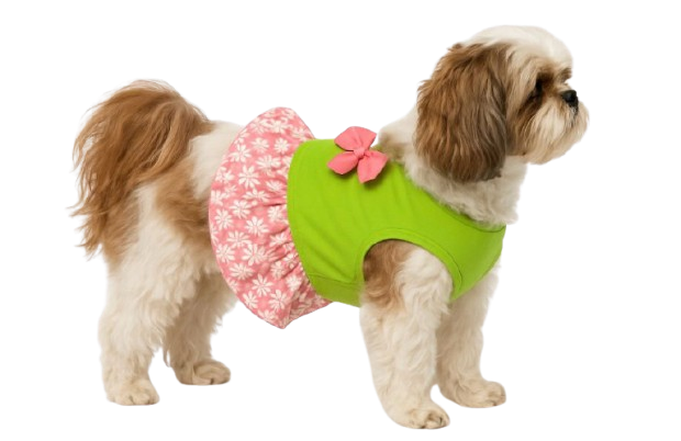 Donna Devlin Designs