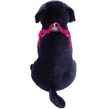 A Walk in the Park Step-in-Harness - Image 3