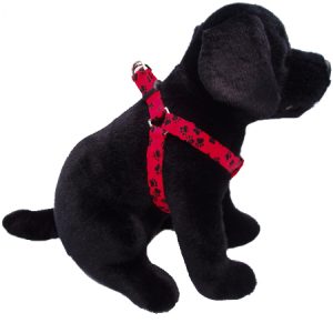 A Walk in the Park Step-in-Harness