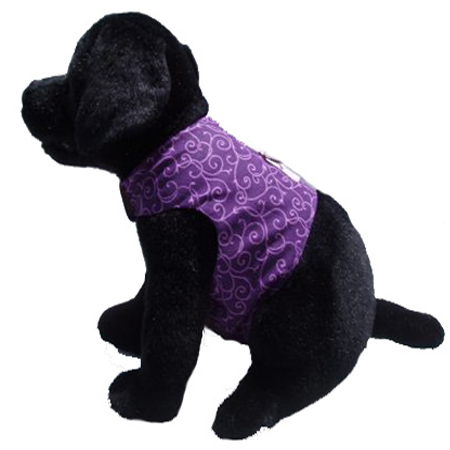 Dog wearing Donna Devlin walking vest