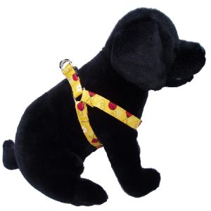 Doodle Bug Step-in-Harness