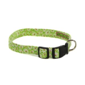 Daisy Do II Collar