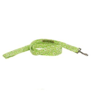 Daisy Do II Leash