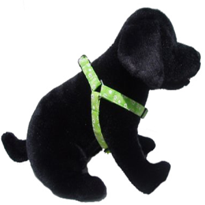 Daisy Do Step In Harness