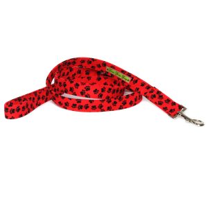 A Walk in the Park Leash