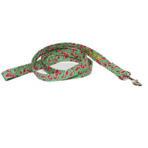 Melon Patch Leash