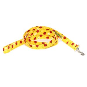 Doodle Bug Leash