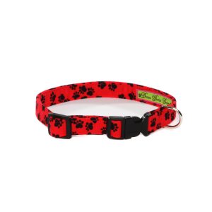 A Walk in the Park Collar