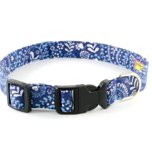 Little Boy Blue Collar