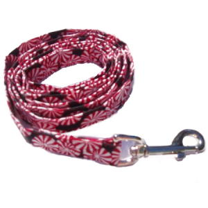 Peppermint Presents Leash