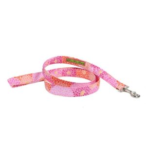 Sonic Bloom Leash
