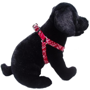 Square Dance Step In Harness