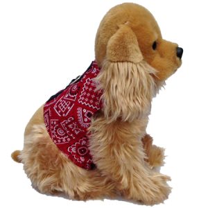 Square Dance Walking Vest