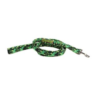 St. Patricks Leash