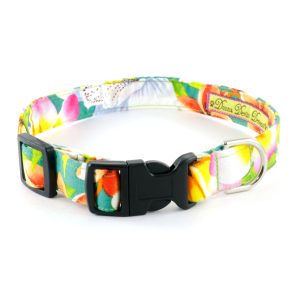 Tropical Punch 2.0 Collar