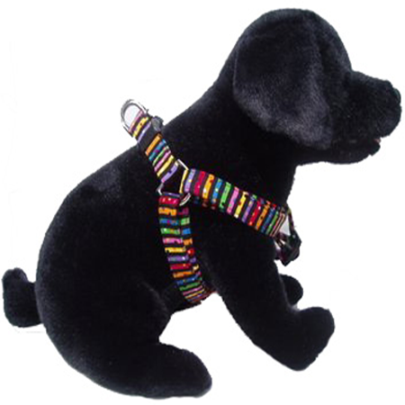 Tutti Frutti Step In Harness