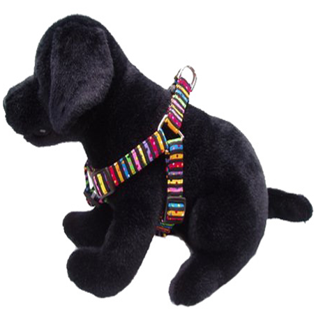 Dog wearing Donna Devlin step-in harness