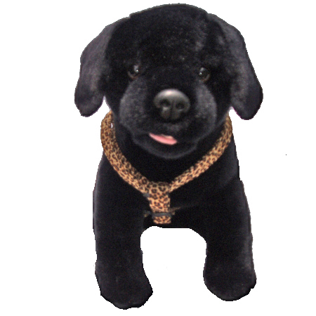 Wild Thing Step-in-Harness - Image 3